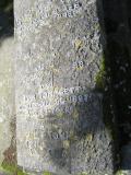 image of grave number 559622